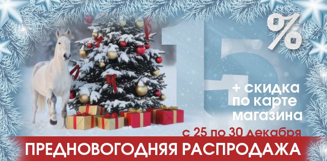 2025-12-24 16.35.19.jpg